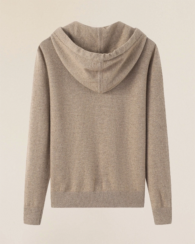 VIONIS·XY oatmeal cashmere hoodie back view, clean structure and dense knit
