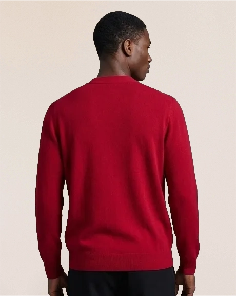 VIONIS·XY bordeaux cashmere cardigan back view, smooth silhouette with fine knit